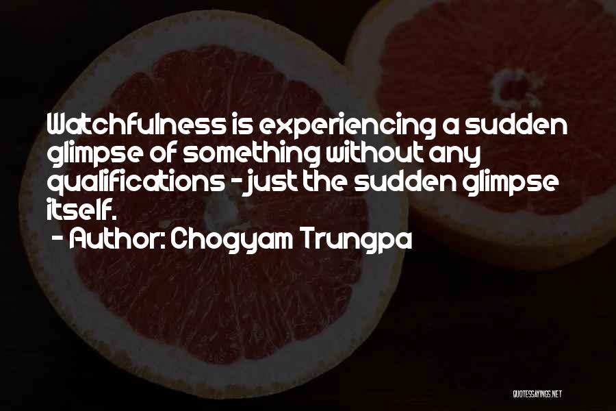 Chogyam Trungpa Quotes 1828330