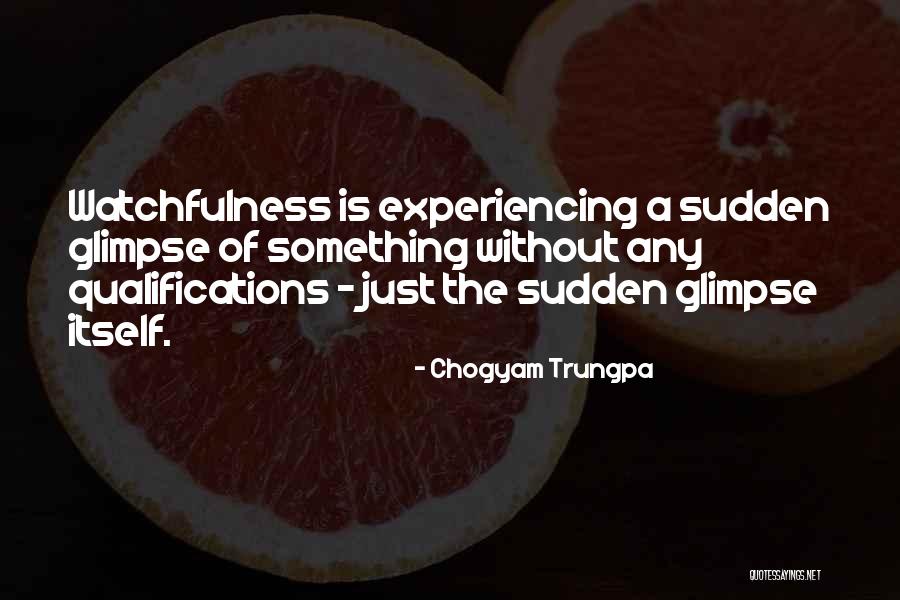 Chogyam Trungpa Quotes 1828330