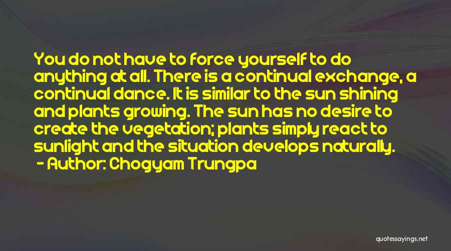 Chogyam Trungpa Quotes 1867357