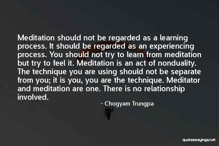 Chogyam Trungpa Quotes 1995226