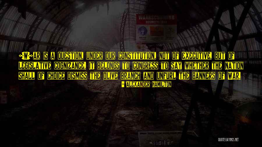 Choice Choices Quotes By Alexander Hamilton Choice Choices Quotes By Alexander Hamilton