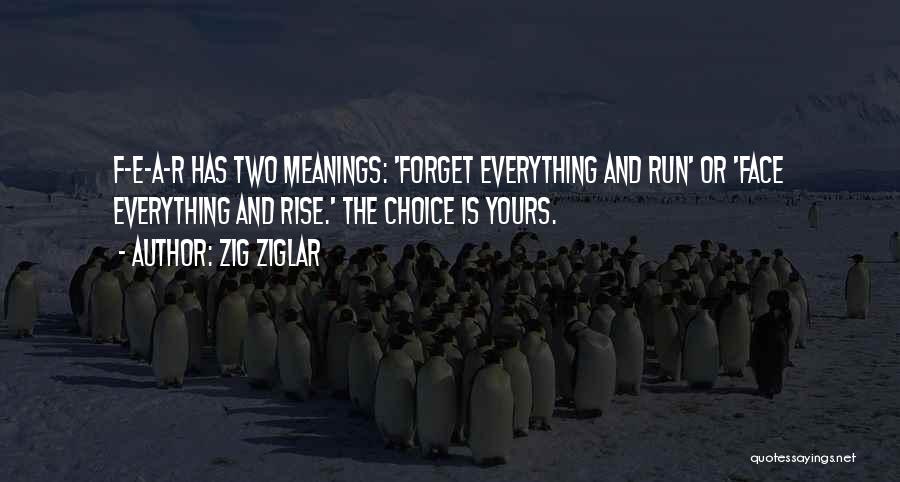 Choice Is Yours Quotes By Zig Ziglar