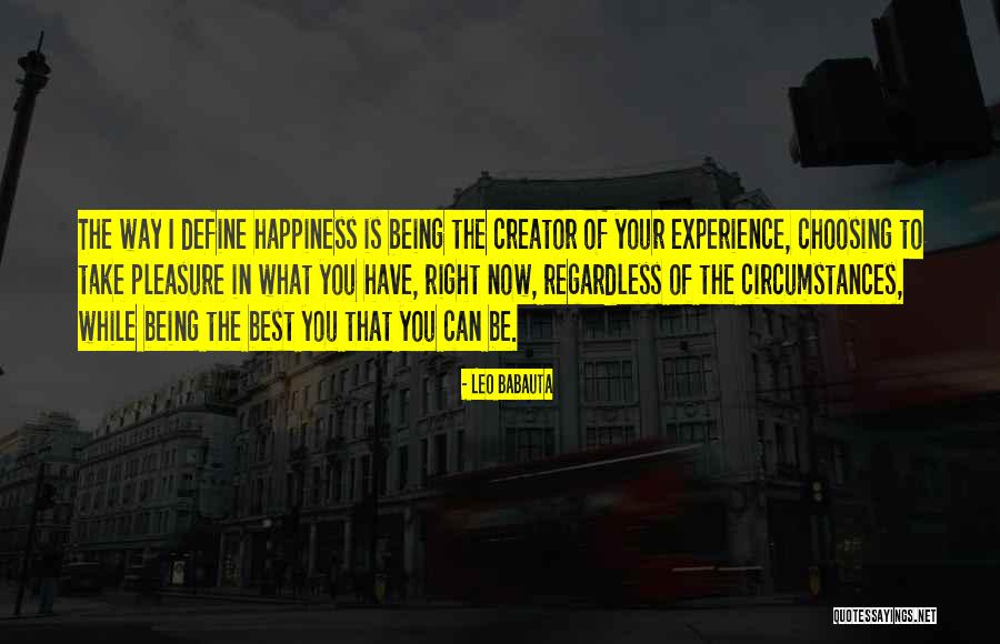 Choice Of Happiness Quotes By Leo Babauta