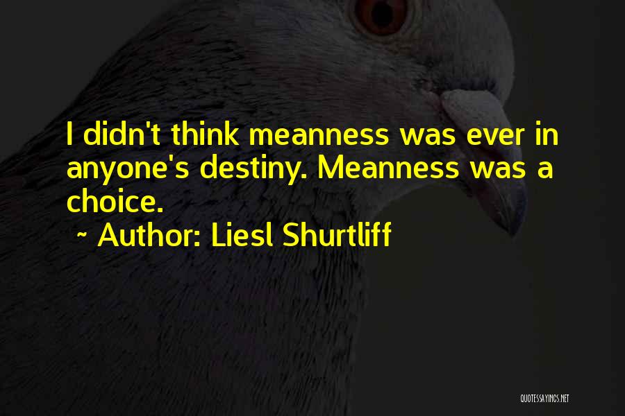 Choice Vs Destiny Quotes By Liesl Shurtliff