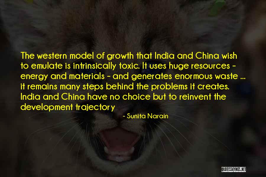 Choices And Future Quotes By Sunita Narain