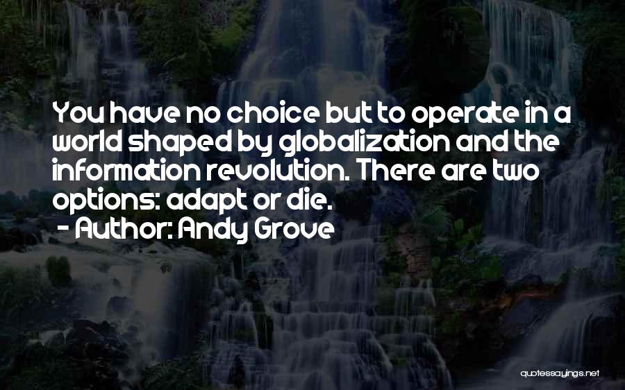 Choices And Options Quotes By Andy Grove