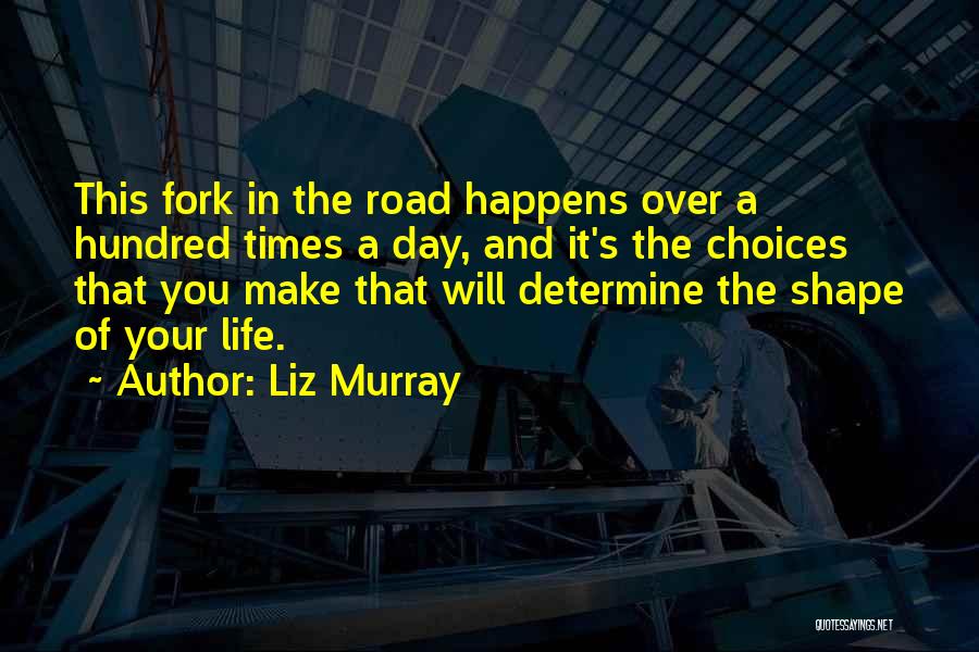 Choices In Life You Make Quotes By Liz Murray