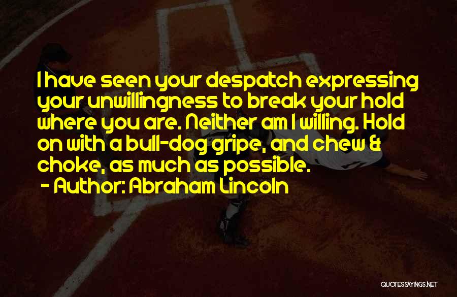 Choke Hold Quotes By Abraham Lincoln