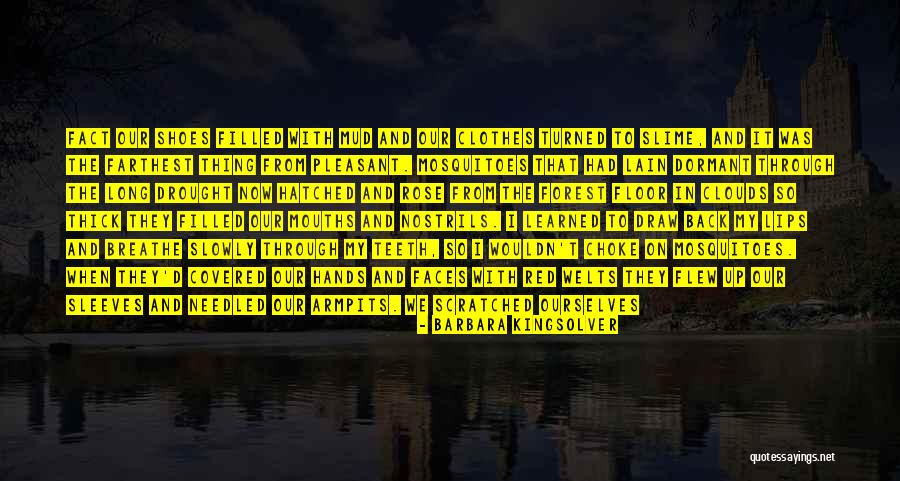 Choke Up Quotes By Barbara Kingsolver Choke Up Quotes By Barbara Kingsolver
