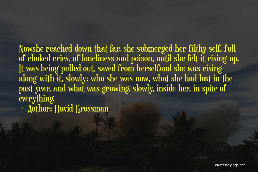 Choked Up Quotes By David Grossman