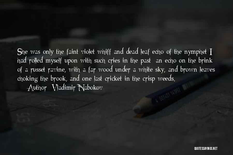 Choking Quotes By Vladimir Nabokov