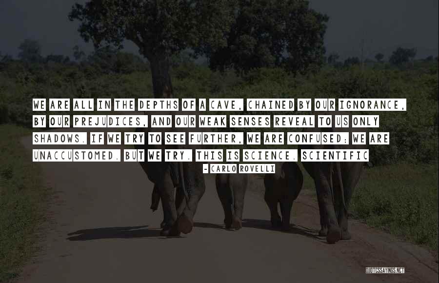 Cholangiocarcinoma Quotes By Carlo Rovelli Cholangiocarcinoma Quotes By Carlo Rovelli