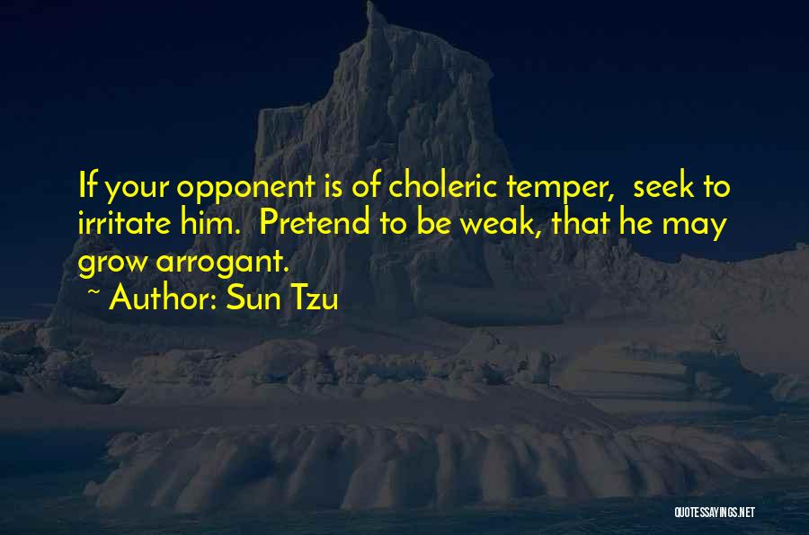 Choleric Quotes By Sun Tzu