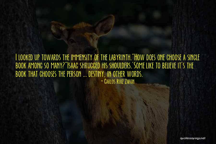 Choose Those Who Believe Quotes By Carlos Ruiz Zafon Choose Those Who Believe Quotes By Carlos Ruiz Zafon