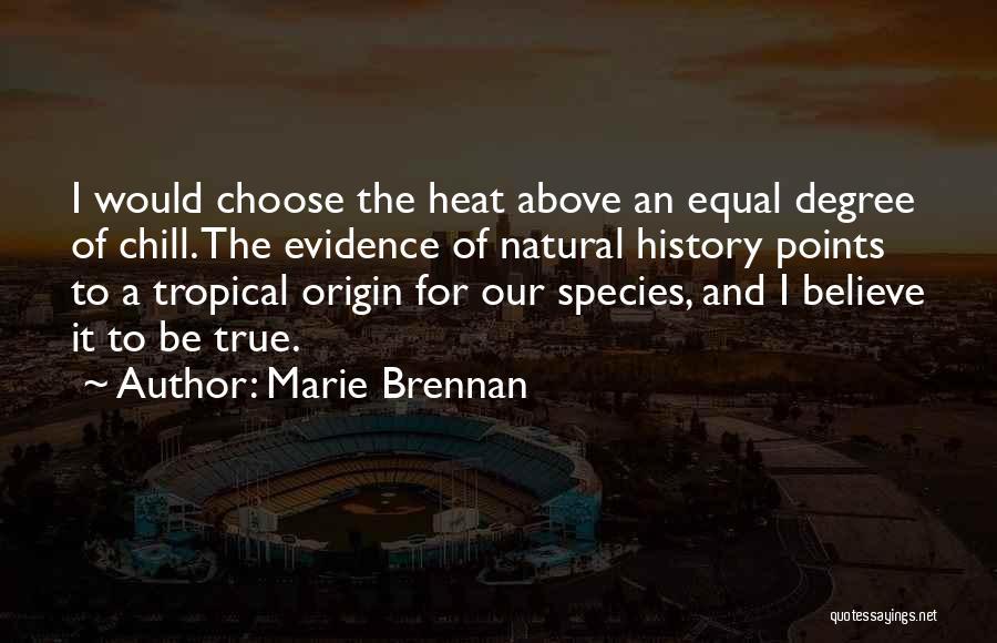 Choose To Believe Quotes By Marie Brennan
