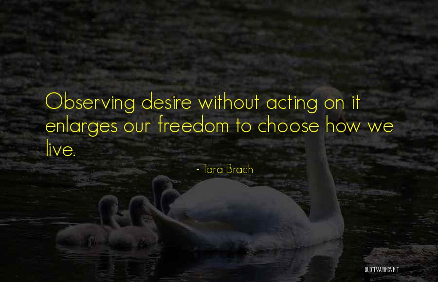 Choose To Live Quotes By Tara Brach Choose To Live Quotes By Tara Brach
