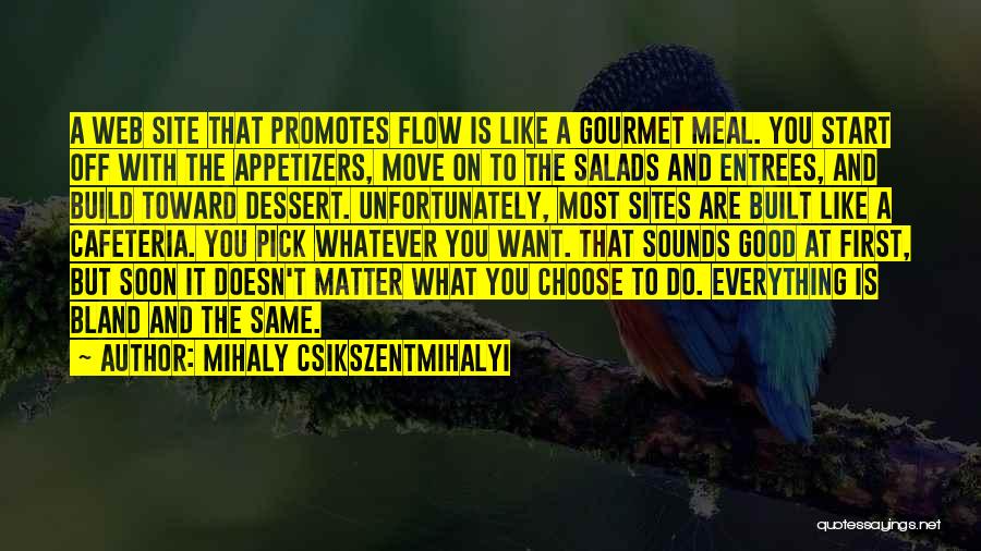 Choose To Matter Quotes By Mihaly Csikszentmihalyi