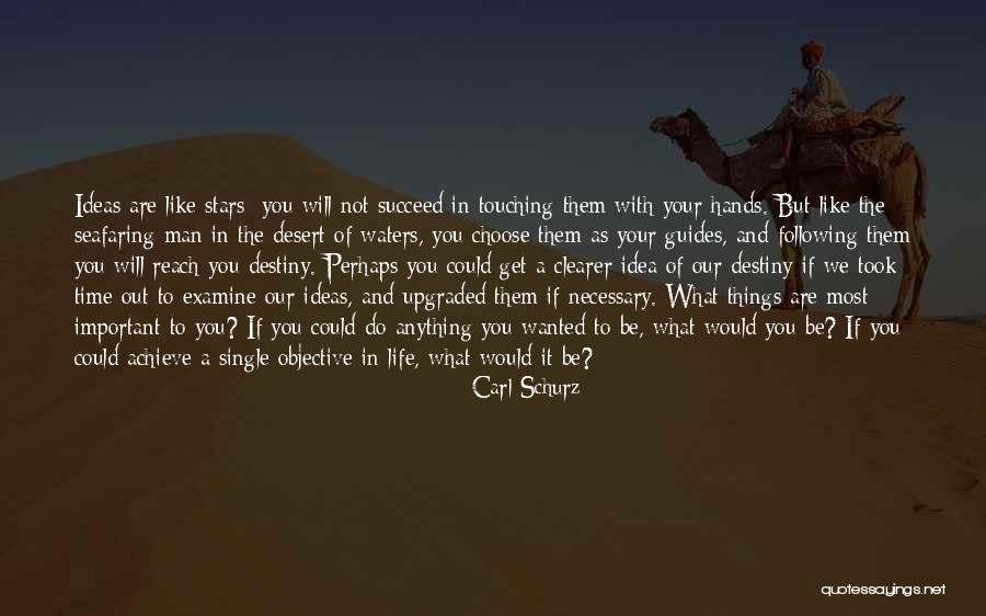 Choose To Succeed Quotes By Carl Schurz