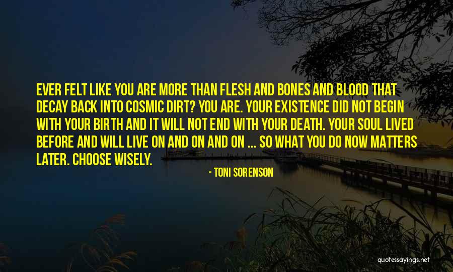 Choose Wisely Quotes By Toni Sorenson