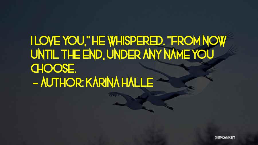 Choose You Love Quotes By Karina Halle