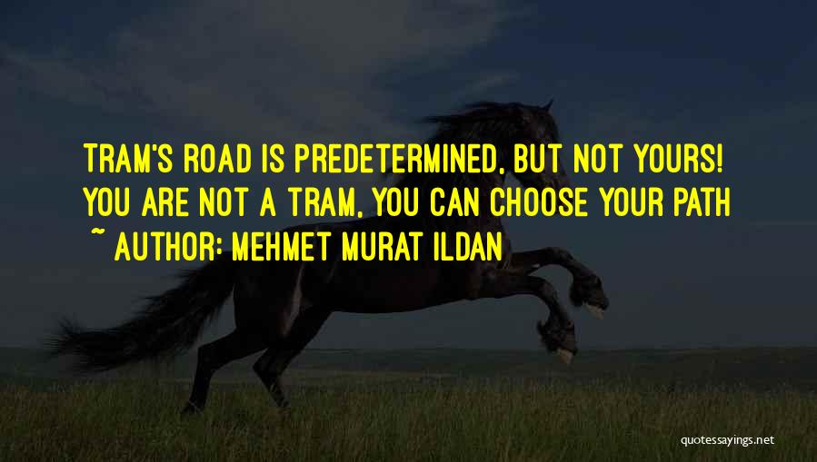 Choose Your Path Quotes By Mehmet Murat Ildan