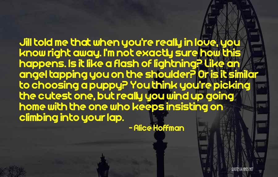 Choosing Your Love Quotes By Alice Hoffman