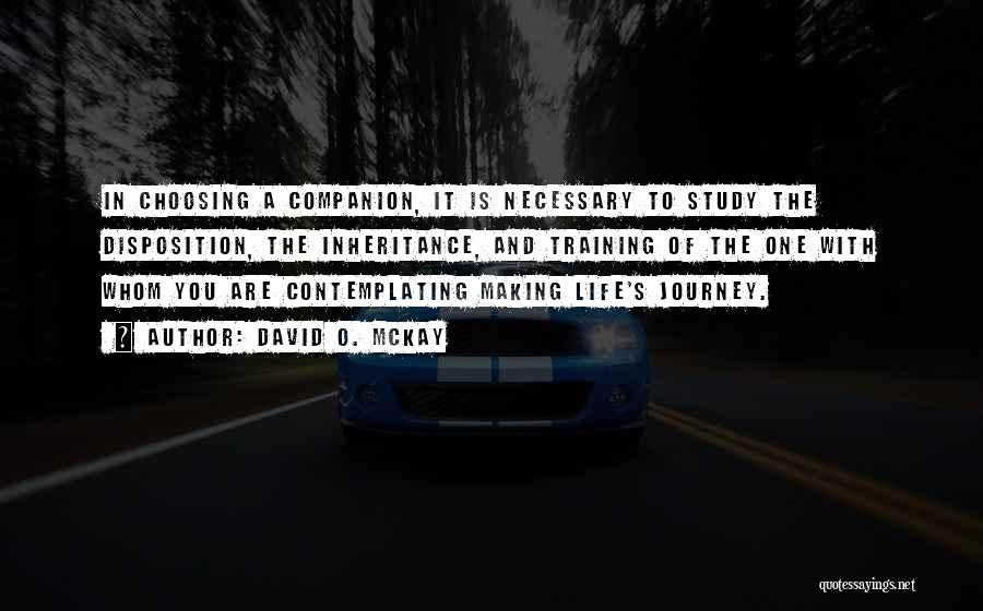 Choosing Your Own Life Quotes By David O. McKay