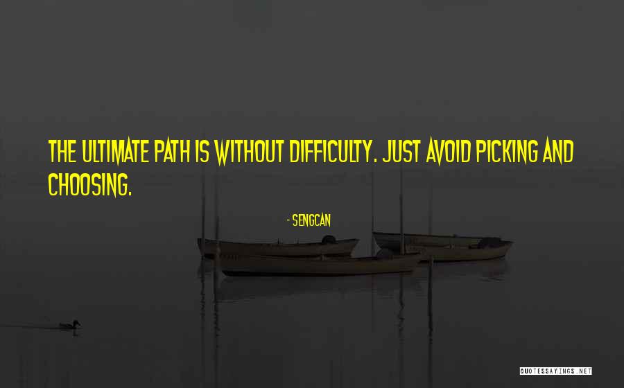 Choosing Your Path Quotes By Sengcan