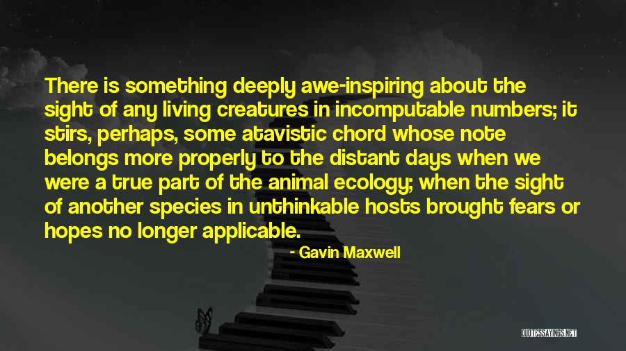 Chord Quotes By Gavin Maxwell