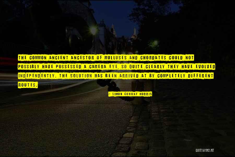 Chordates Quotes By Simon Conway Morris