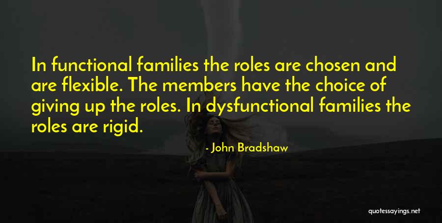 Chosen Families Quotes By John Bradshaw Chosen Families Quotes By John Bradshaw
