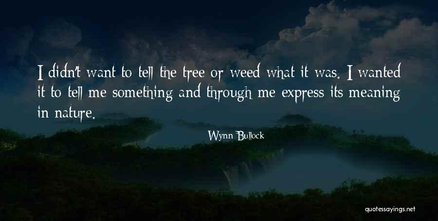 Choti Soch Quotes By Wynn Bullock Choti Soch Quotes By Wynn Bullock