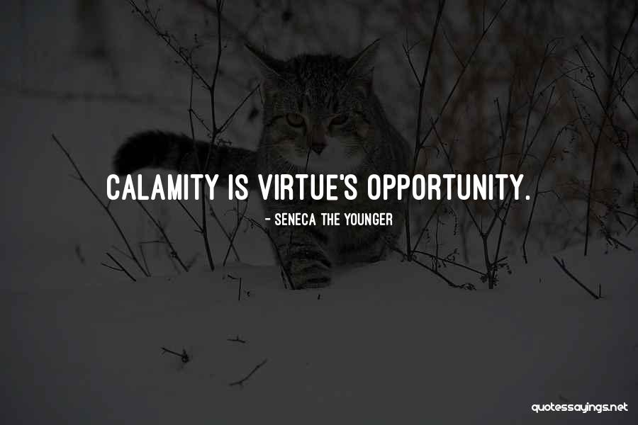 Chouffot Sas Quotes By Seneca The Younger Chouffot Sas Quotes By Seneca The Younger