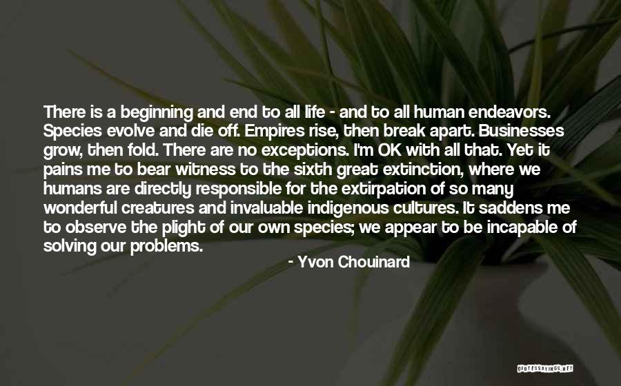 Chouinard Quotes By Yvon Chouinard Chouinard Quotes By Yvon Chouinard