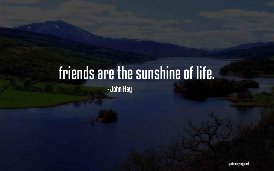 Choux Dough Quotes By John Hay Choux Dough Quotes By John Hay