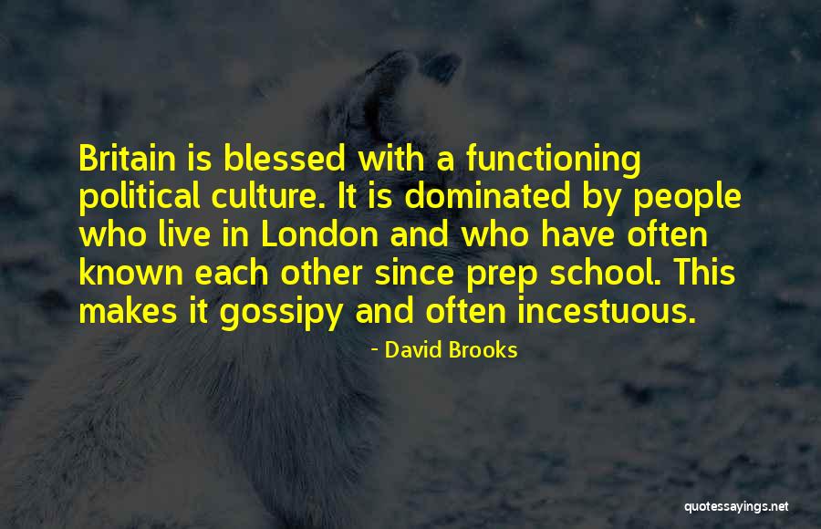 Chrestomanci Books Quotes By David Brooks Chrestomanci Books Quotes By David Brooks