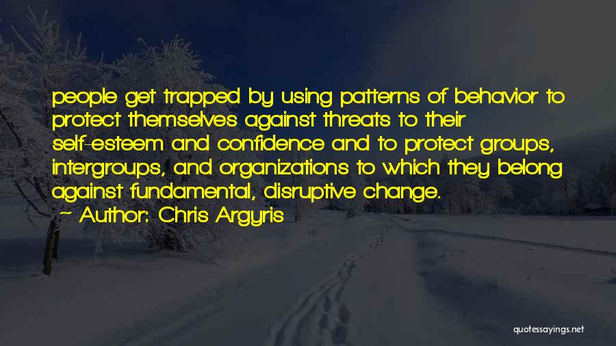 Chris Argyris Quotes 1930641