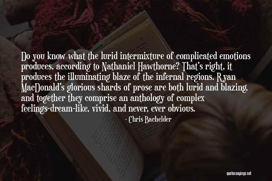 Chris Bachelder Quotes 1608011 Chris Bachelder Quotes 1608011