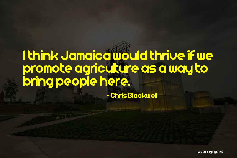 Chris Blackwell Quotes 897051