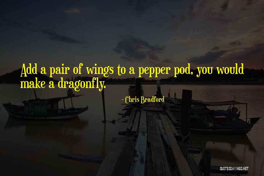 Chris Bradford Quotes 1880402 Chris Bradford Quotes 1880402