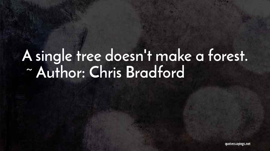 Chris Bradford Quotes 2005863