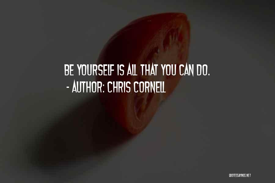 Chris Cornell Quotes 1677615