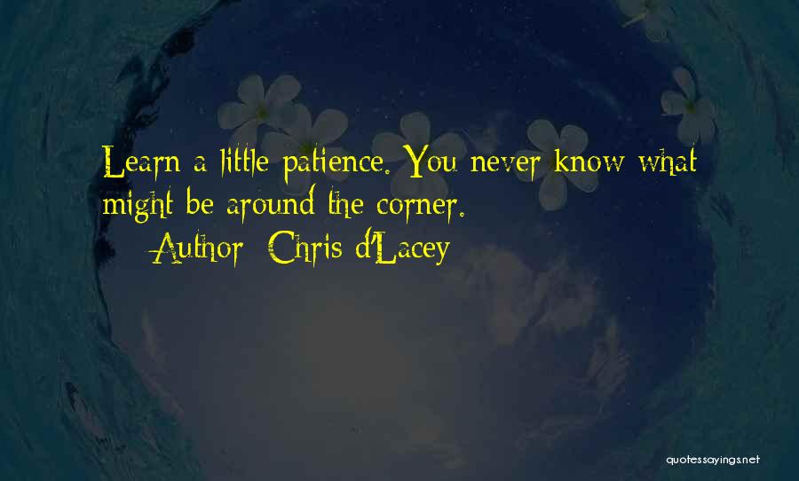 Chris D'Lacey Quotes 180909