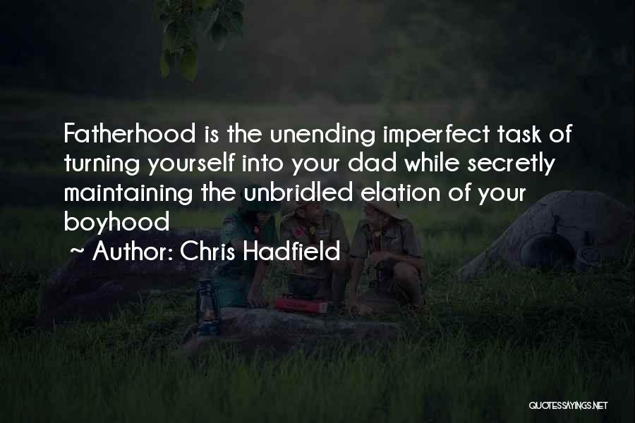 Chris Hadfield Quotes 943003