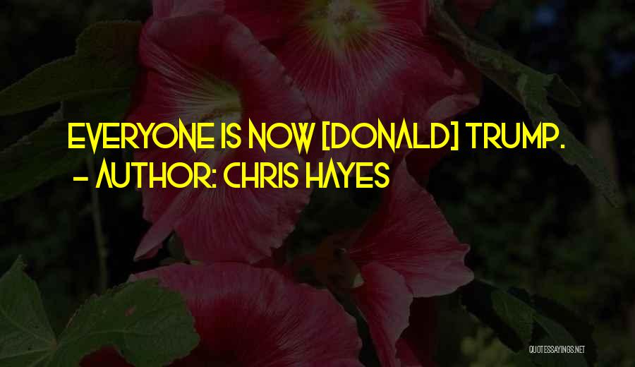 Chris Hayes Quotes 1316684