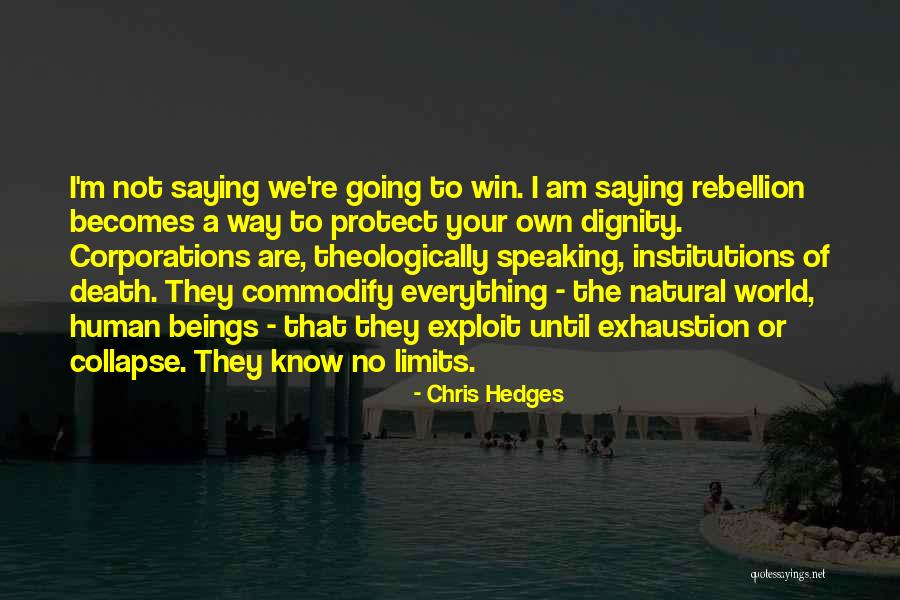 Chris Hedges Quotes 1747390 Chris Hedges Quotes 1747390
