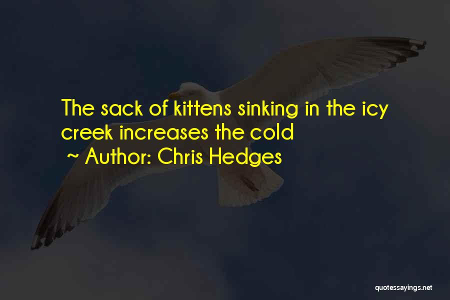 Chris Hedges Quotes 1779692