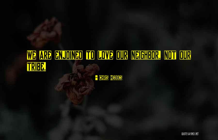 Chris Hedges Quotes 184618 Chris Hedges Quotes 184618