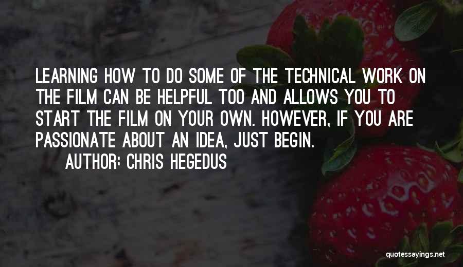 Chris Hegedus Quotes 1857086