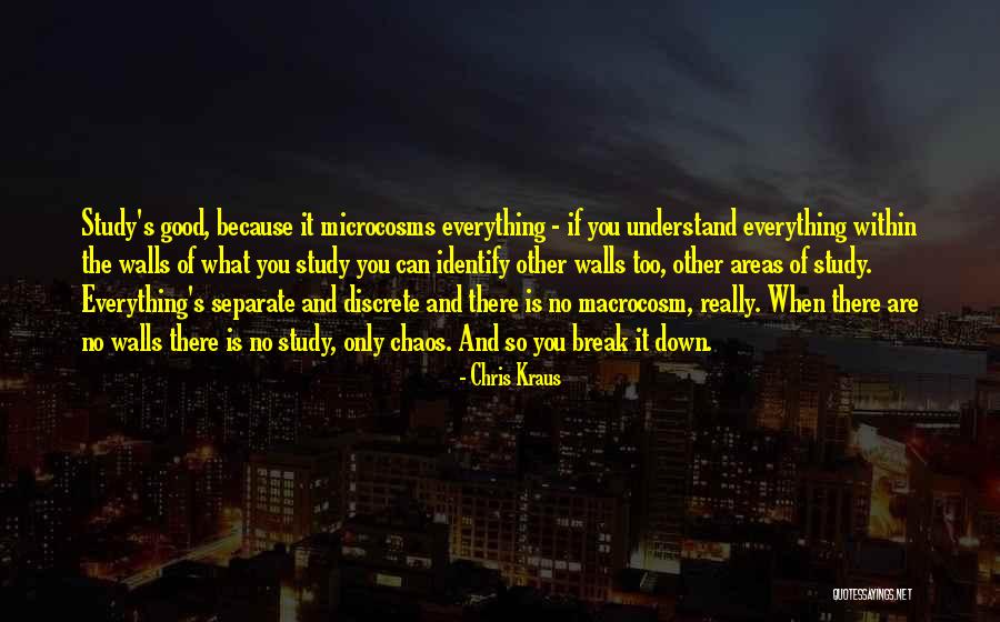 Chris Kraus Quotes 1296858